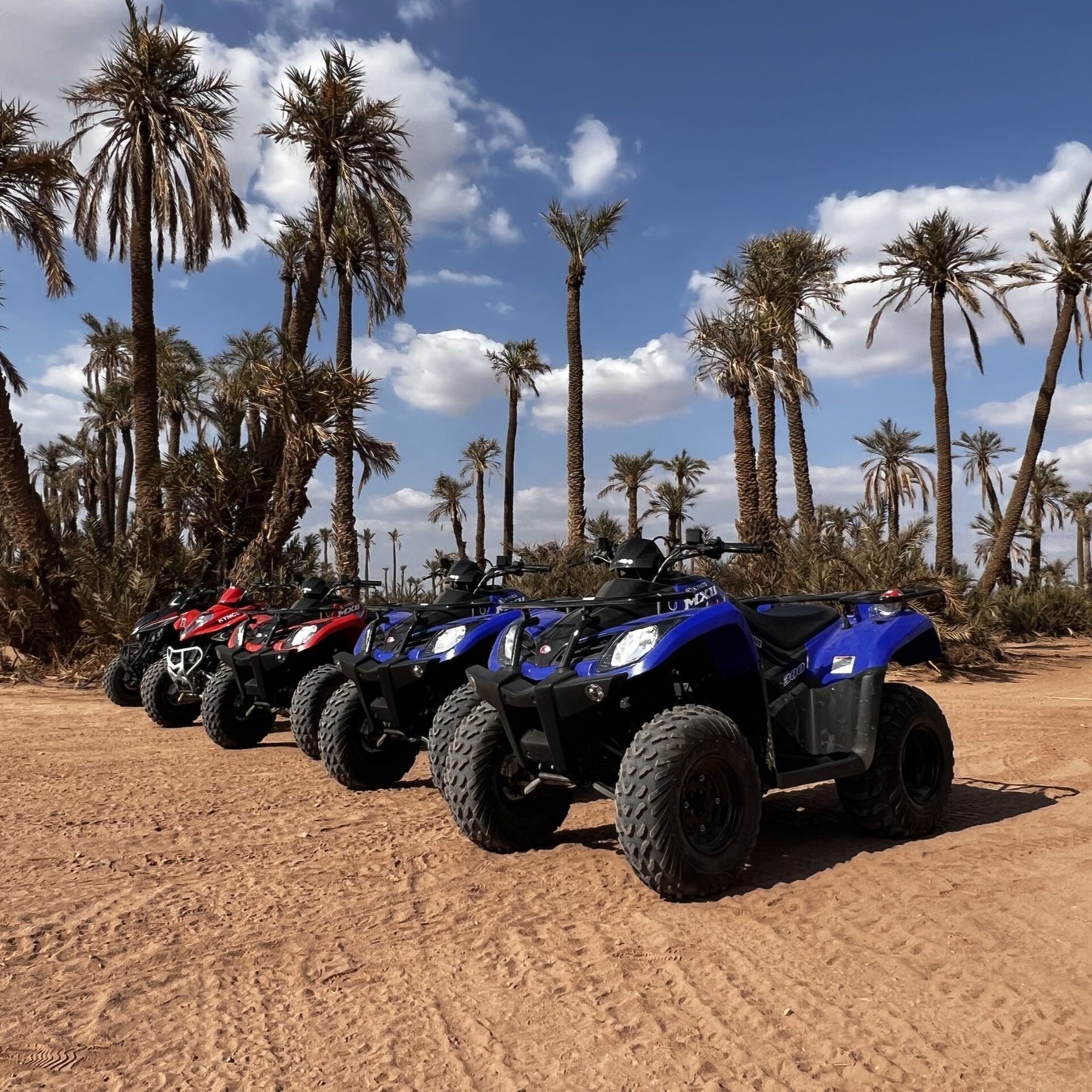 Excursion Quad - Palmeraie de Marrakech