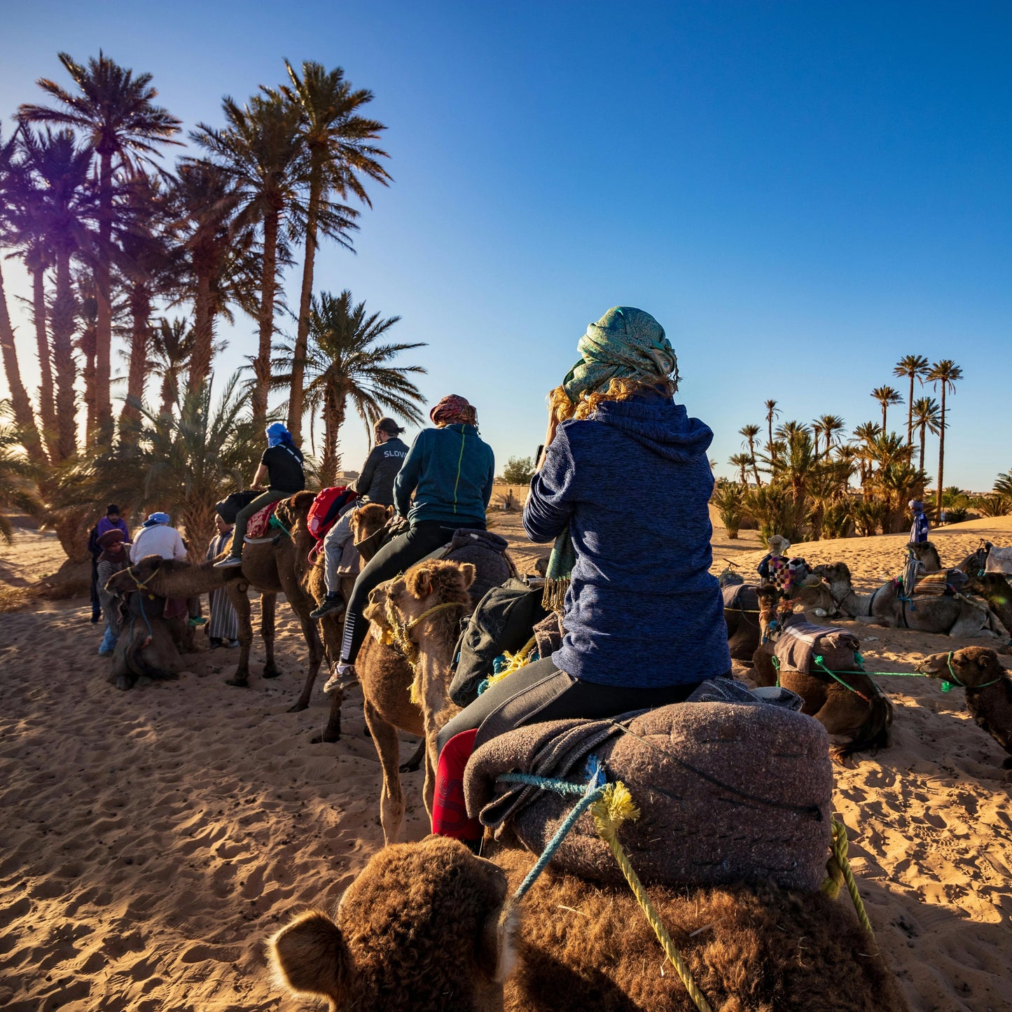 Balade en Chameau - Palmeraie de Marrakech