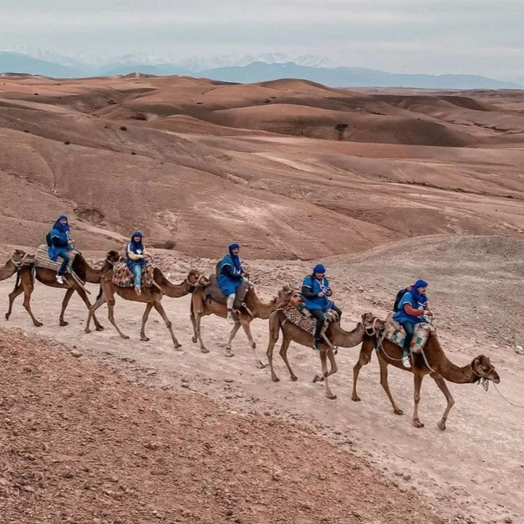 Expérience Agafay : Quad, Dromadaire & Soirée Berbère