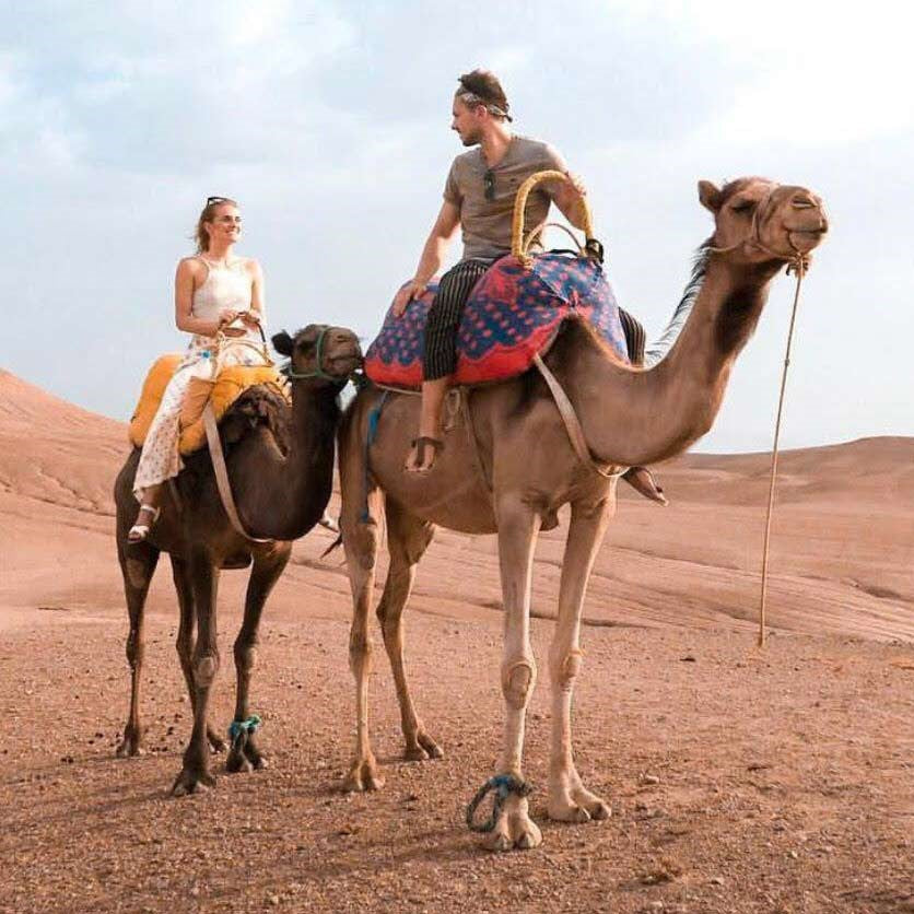 Expérience Agafay : Quad, Dromadaire & Soirée Berbère