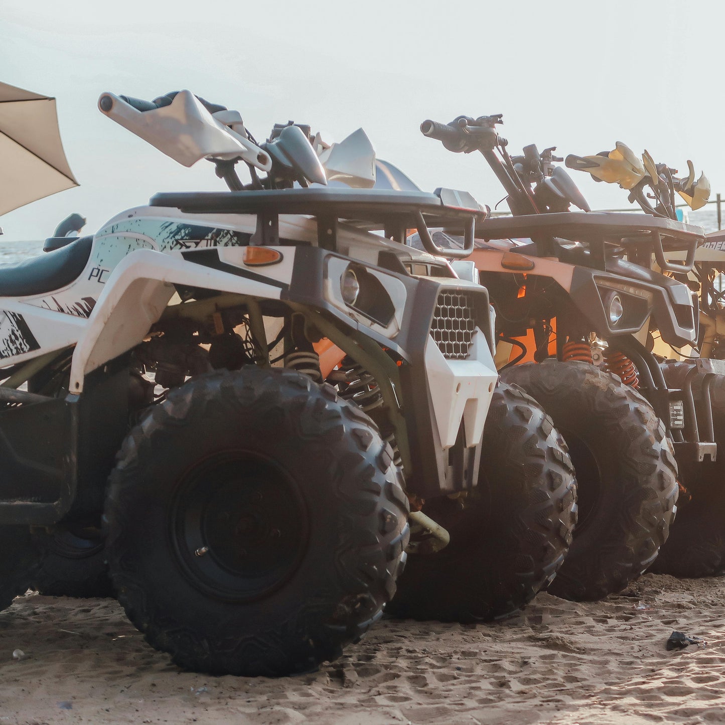 Excursion Quad - Palmeraie de Marrakech