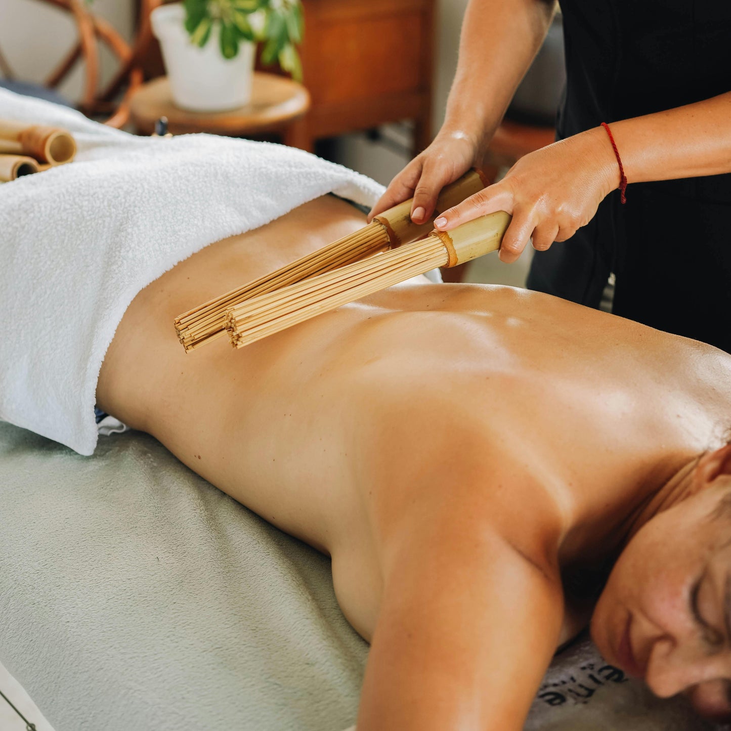 Massages Spécialisés - Palais Freedom