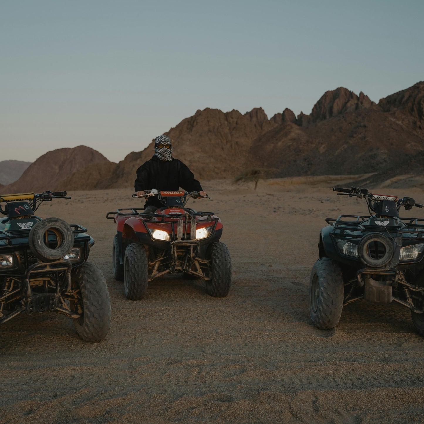 Excursion Quad - Palmeraie de Marrakech