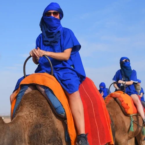 Balade en Chameau - Palmeraie de Marrakech