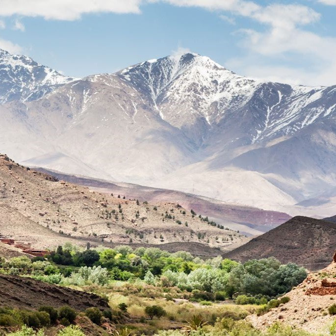 Excursion Ourika & Atlas