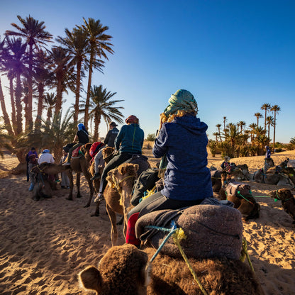 Balade en Chameau - Palmeraie de Marrakech