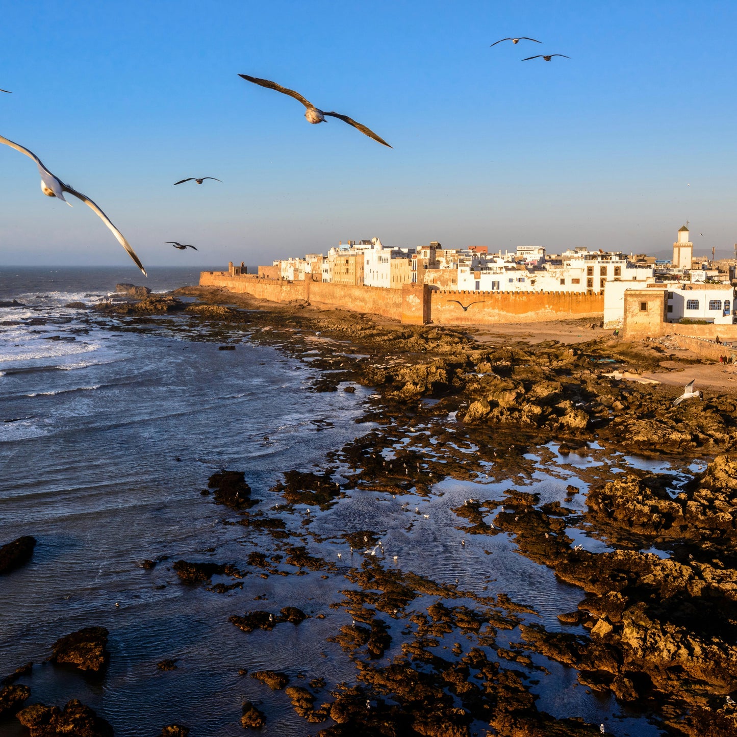 Excursion Essaouira - Ville Côtière
