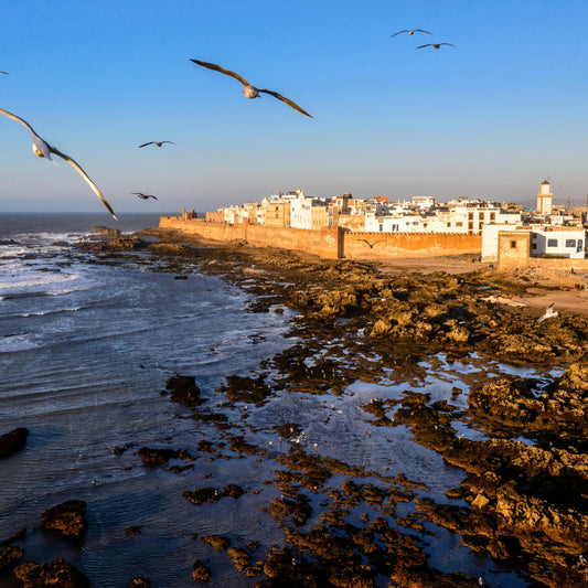 Excursion Essaouira - Ville Côtière